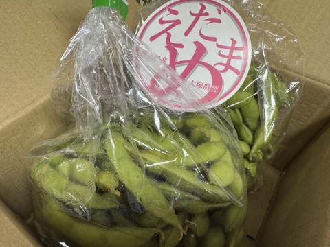 【朝どれ】＜うまっ！＞やみつき必須！うんめえ枝豆！　900g