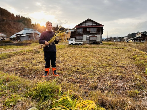 【新米令和７年】『Heitarō Rice』秘境 金山町産　幻のお米 亀ノ尾4kg