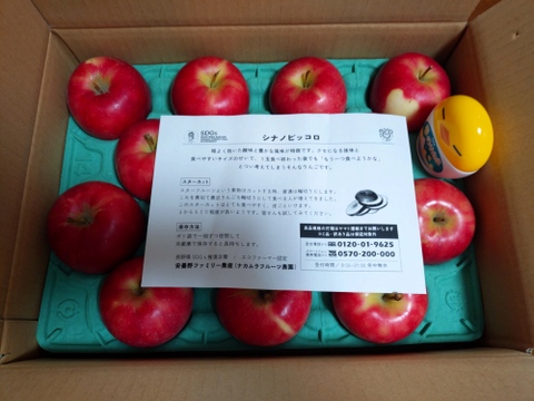 残り8ケース【フルティーサマーアップル】トキ 3キロ箱 6玉〜15玉サイズ商品ID09523 長野県 信州 安曇野 リンゴ 幻 幻のリンゴ 予約 希少 旬