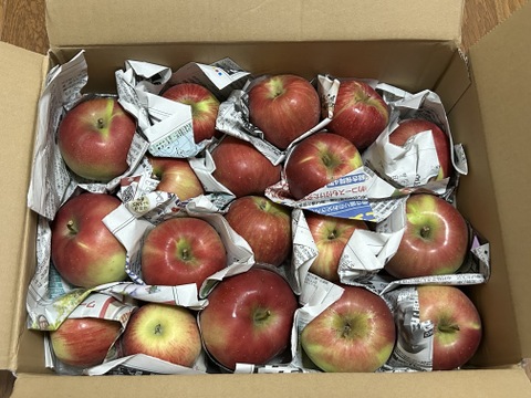 甘酸っぱい♡山形県産りんご♡紅玉♡お試しサイズ♡