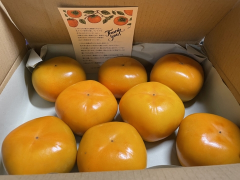 ジュワッ！ 甘っ！ 平核無（ひらたねなし）柿🟠✨🍂　お試しパック 6〜9個入り Mサイズ以上 11月上旬頃より順次発送