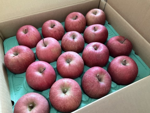 【販売中！人気セット！】青森県産りんご「ぐんま名月」5kg+「サンふじ」5kg 家庭用 キズ有 セット