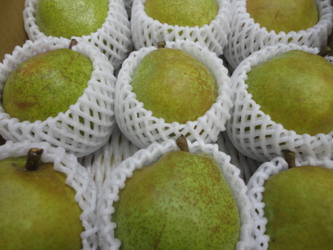 【冬ギフト】西洋梨　ラ・フランス　3キロ箱使用　10個から13個入り　11月中旬から発送