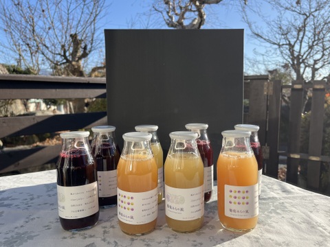 【冬ギフト】ワイン用ぶどうで作ったジュース　4品種各2本　飲み比べセット180ml✖️8本【熨斗対応可】