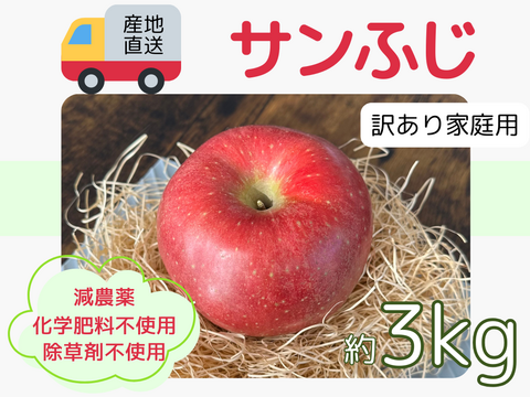 生産農家直送 りんご サンふじ 訳あり 家庭用 3kg 長野県産 信州りんご発祥の地 化学肥料不使用 除草剤不使用 人にやさしく環境にもやさしい