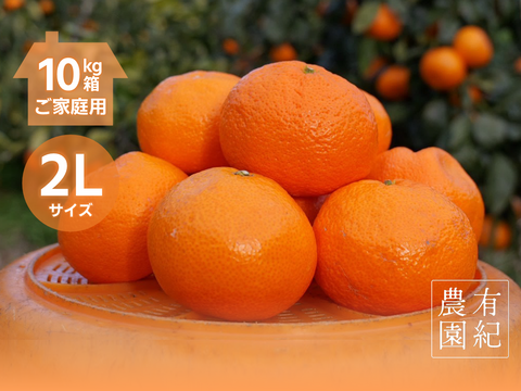 本物をお得に！ 木成り完熟🍊ご家庭用 有田みかん【大玉・10kg箱】