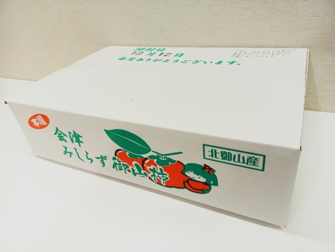 【開封日あり】会津みしらず柿（種なし）　約4kg　4Lサイズ14玉