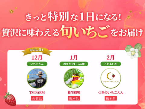 【特選スペシャルいちご食べ比べ便】おまかせ1~2品種 (約450g)🍓