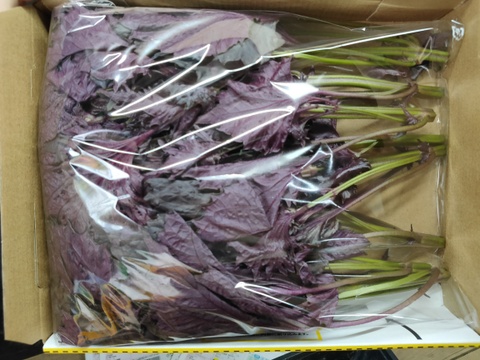 赤紫蘇400ｇ★期間限定