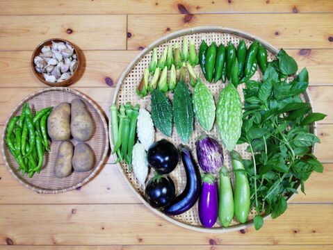 【農薬・化学肥料不使用】野菜セット【ニンニク(200g前後)付き】【6~8種類の野菜】(80サイズ箱)