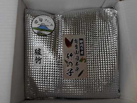 筍農家が作る！有度山日本平竹の子『淡竹』水煮パック150g×4p