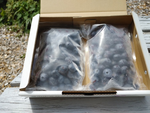 収穫して大粒のみを選別してすぐに冷凍しました！ビッグりサイズの『フローズンブルーベリー（冷凍ブルーベリー）』400g×2品種（山梨県北杜市産）