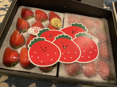 【いちご博2024総合大賞】新鮮完熟やよいひめ（約800g）