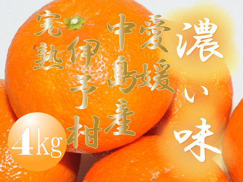 濃厚完熟　蔵出し　愛媛伊予柑　ご家庭用・４ｋｇ