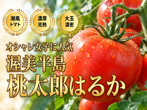 🍅センスで選ばれる大人の贈り物🍅品種指定キャンペーン『桃太郎はるか』🍅プロが認めた冬春の逸品🍅お試約1kg【ギフト・ご褒美に】【朝どれ】【1月中旬予約】