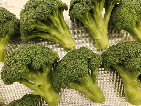 栄養満点！【冬野菜3種セット】キャベツ&ブロッコリー 4点