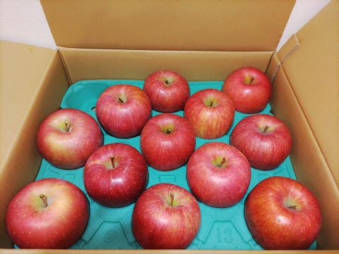 【販売開始！人気商品】青森県産りんご「サンふじ」家庭用 キズ有 約5kg【美味・光センサー選果済】