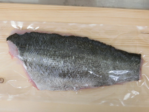 漁師直送 鮮魚３種セット イシモチ 小サバ 急速冷凍 スズキ 千葉県産の魚 食べチョク 産地直送 産直 お取り寄せ通販 農家 漁師から旬の食材を直送