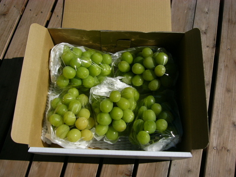 シャインマスカット秀２ｋ