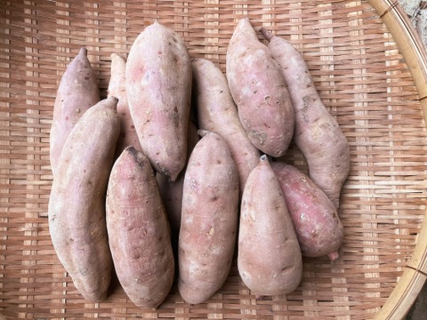 自然栽培〈べにはるか〉大分県産さつまいも 　Ｌサイズ5kg