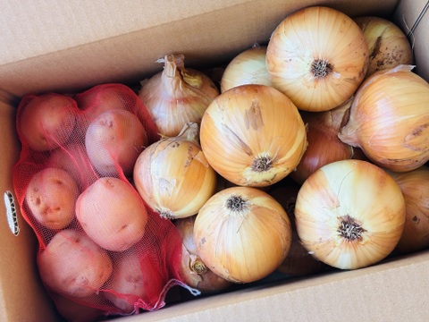 淡路島産🧅🥔セット✨約5kg
『玉ねぎ約4kg』と『新じゃがいも約1kg』📦✨