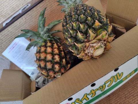 農薬節約栽培パイナップル（ピーチパイン）と（スナックパイン）3kg （4個〜6個）