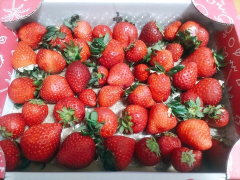 【訳あり！】あまりん大容量６５０ｇ以上