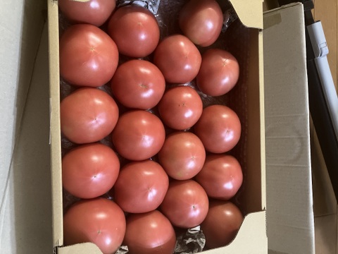 今が旬!高原トマト80サイズ箱おまかせ size(収穫時期によってサイズが異なります)