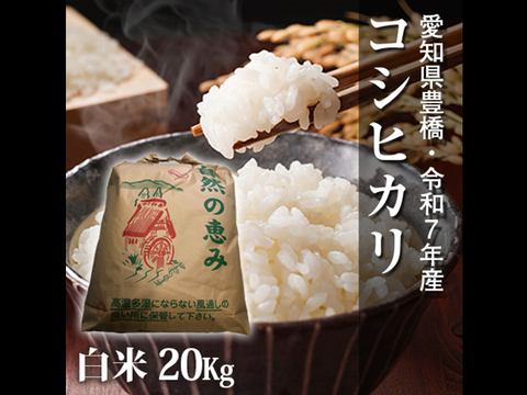 【節減対象農薬6割減】】コシヒカリ 白米 20kg【令和7年・愛知県産】