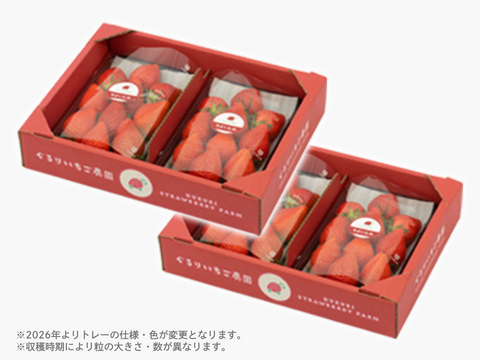 4パック｜とっても甘〜い大粒いちご！ぐんまが誇るやよいひめ！ 合計1kg！