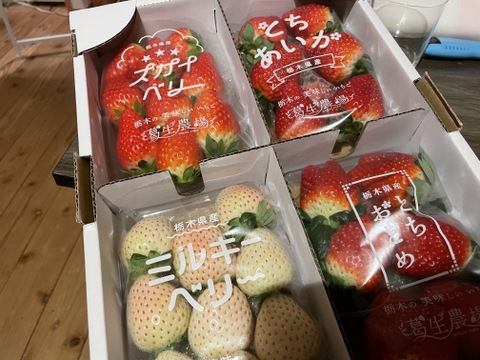 【3/16以降発送分はお得な春イチゴ販売中！】【食べチョク限定】摘みたて直送！ミルキーベリー入り！とちぎのいちご4種詰め合わせセット（4パック）（260ｇ×4パック）【いちご食べ比べ】