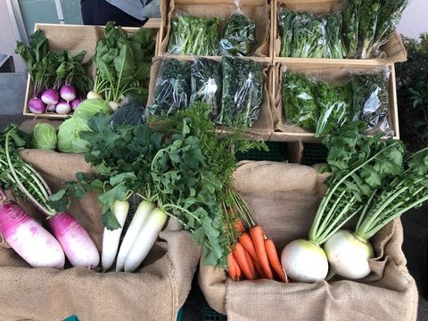 【贈り物にも！】菊芋入り/彩り豊かな野菜の秋冬野菜10種類前後/めずらしい野菜も入ってるかも？【農薬・化学肥料不使用】