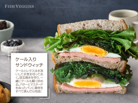新鮮！採れたて！農薬・化学肥料不使用！ケールとレタスの定期便 6個セット