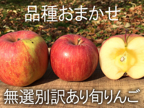【旬のおまかせ】葉とらずりんご 加工用 約4.5kg(12-28玉) 1~3種類 #NAX0K045