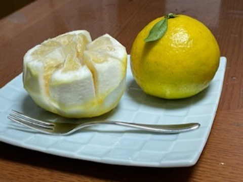 甘い白ワタと果肉で独自の風味を味わえるニューサマーオレンジ！ 4キロ
