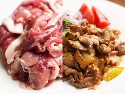 【自社牧場にて厳選！】国産ブランドポーク「だいじょ豚」 切り落とし800g｜豚 ぶた ポーク 焼肉 BBQ アウトドア キャンプ 国産 国産豚 ブランド豚