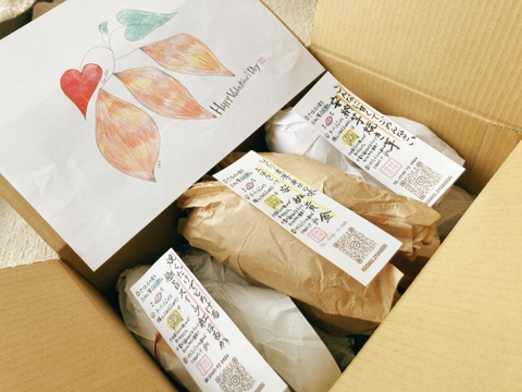 【熟成さつまいも3種盛】今一番甘い💕さつまいも食べ比べ🍠🍯《厳選》安納芋・紅はるか・安納黄金（3kg）種類別の蜜溢れるさつまいも🍠✨ひとつひとつ紙に包んでお届けでギフトにもオススメ🎁熨斗◎