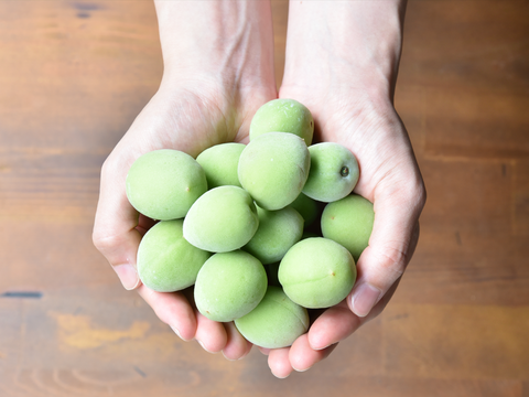 【6月上旬お届け予定】南高梅 3kg 2Lサイズ以上（約3.3~3.7cm） 1400-2l