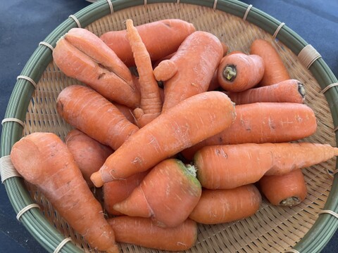 訳アリ！☆有機JAS認証☆にんじん3.6㎏