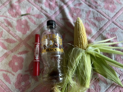 【訳あり】とうもろこし　群馬県東吾妻町産　20本