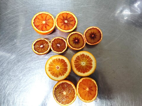 【冷凍ジュース、爽やかな酸味】ブラッドオレンジ完熟生絞り冷凍ジュース500㎖