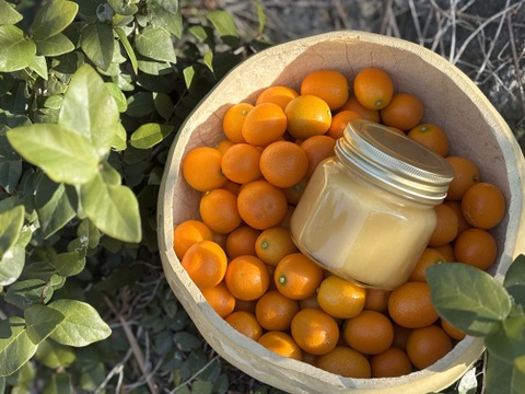 【みつばちの贈り物B】自然のままの金柑とにほんみつばちの蜂蜜のセット