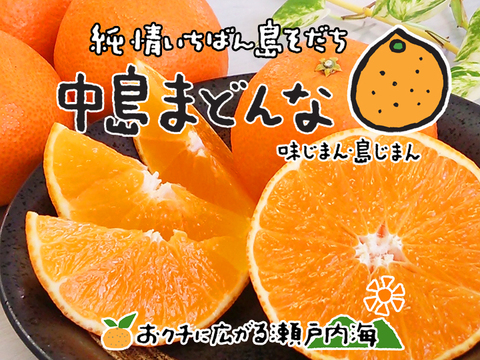 新食感 まるでゼリー とろける柑橘の中島まどんな 5kg 訳あり品 サイズ込 愛媛 中島産 希望の島 みかん あいか 愛媛果試第28号 愛媛県産のみかん 柑橘類 食べチョク 産地直送 産直 お取り寄せ通販 農家 漁師から旬の食材を直送