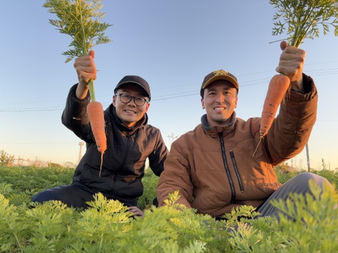 NOUASOBIの冬にんじん（5kg）