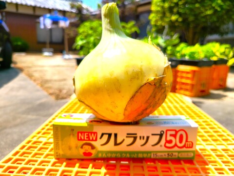 肉厚ジューシー♪大きな淡路島新玉ねぎ（３Lサイズ）　５ｋｇ