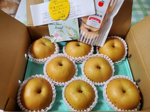 秋の夜長に…！ 南水 梨 （3kg）