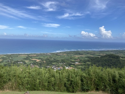 中園ファームの熟成安納芋のいもチップス　50g×4袋