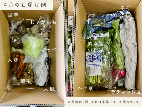 【有機JAS認証】季節の野菜セット（7〜12品目、100サイズ）