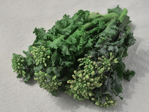 【有機栽培 JAS認証】プチヴェール菜の花 600g＋【機能性表示食品】ソフトケールGABA（500g）（静岡県磐田市産）