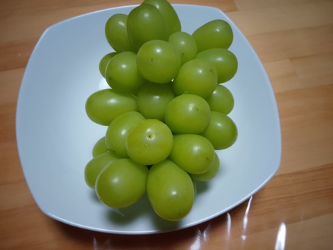棚田で育てた🍇岡山県産シャインマスカット（ご家庭用・約2kg）【9